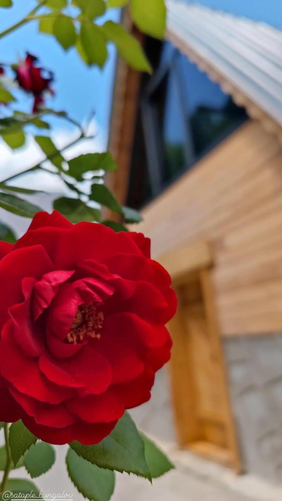 Sataplebungalov Çamlıhemşin Kültér fotó